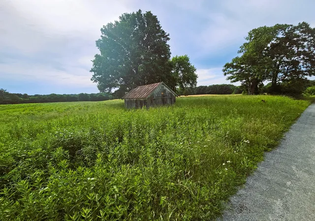 Photo 3 of Land for sale at 0000 N Stanford Ln, Opdyke, IL 62872 | MLS# 12666757 | Listing updated on 2026-06-09