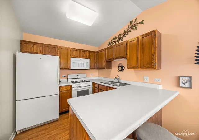 image of 1103 Stratford Ct #C, Elgin, IL 60120 | MLS# 12666833