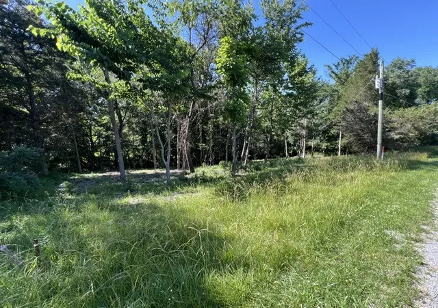 1st image of Lot 1309 And 1310 Lakeshore Dr South, Goreville, IL 62959 | MLS# 12668199