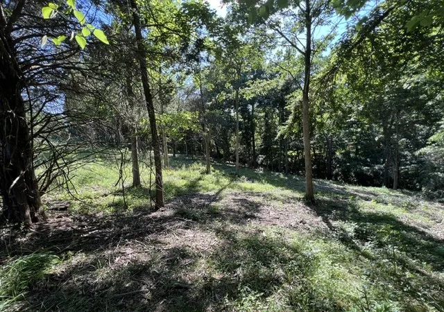 13th image of Lot 1309 And 1310 Lakeshore Dr South, Goreville, IL 62959 | MLS# 12668199