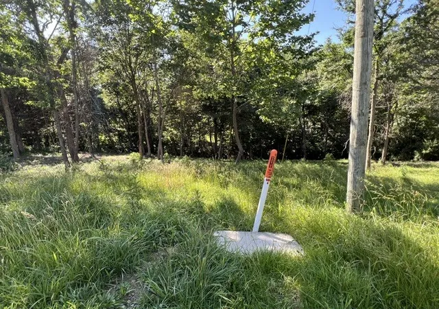2nd image of Lot 1309 And 1310 Lakeshore Dr South, Goreville, IL 62959 | MLS# 12668199