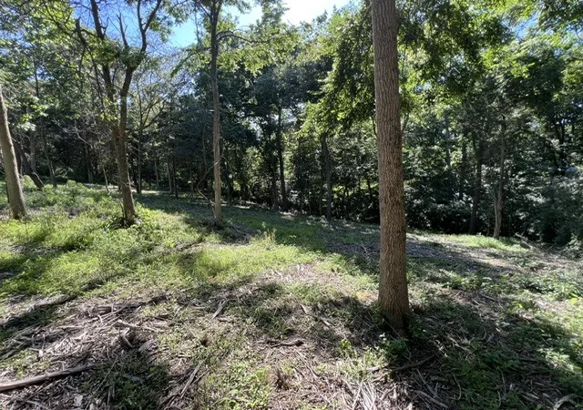 5th image of Lot 1309 And 1310 Lakeshore Dr South, Goreville, IL 62959 | MLS# 12668199