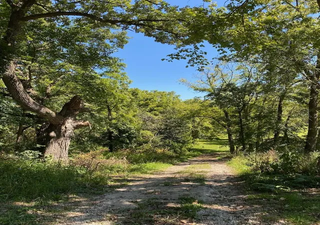 Photo 3 of Land for sale at 6n853 Il Route 31 Hwy, Saint Charles, IL 60175 | MLS# 12669110 | Listing updated on 2026-09-06