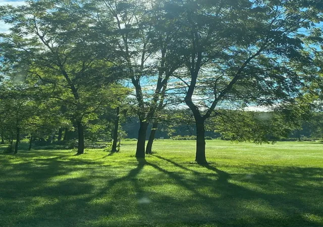 Photo 4 of Land for sale at 6n853 Il Route 31 Hwy, Saint Charles, IL 60175 | MLS# 12669110 | Listing updated on 2026-09-06