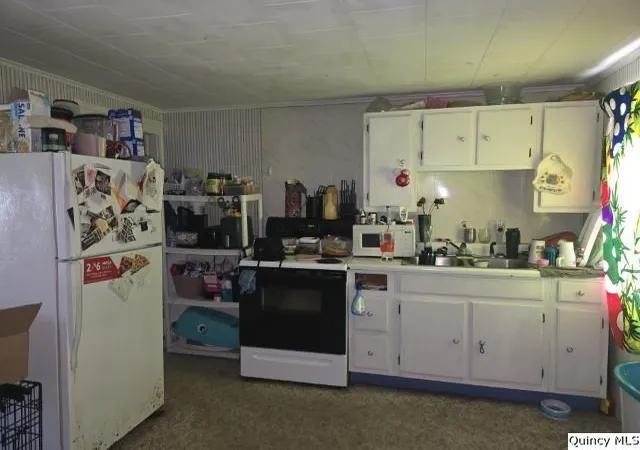 2nd image of 87 E 3rd St, Dallas City, IL 62330 | MLS# 12669398