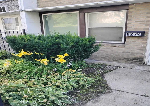 Homes for sale in Chicago, IL | 827 E 48th St #C, Chicago, IL 60615 | MLS# 12670926