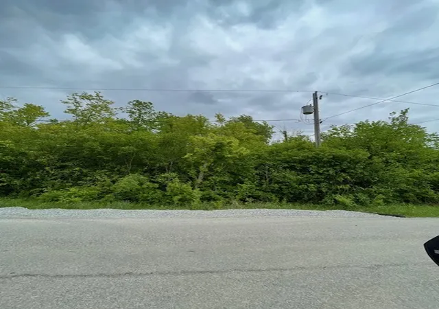 2nd image of 22839 Woodlawn Ave, Steger, IL 60475 | MLS# 12671097