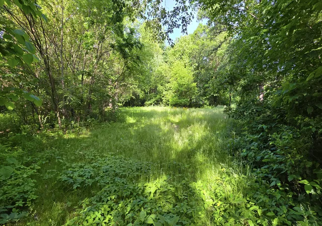 2nd image of Lot 13 S Egyptian Trail, Monee, IL 60449 | MLS# 12671932