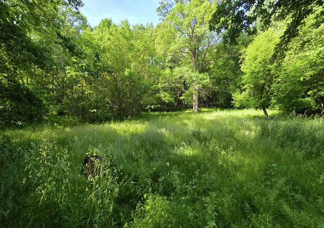 3rd image of Lot 13 S Egyptian Trail, Monee, IL 60449 | MLS# 12671932