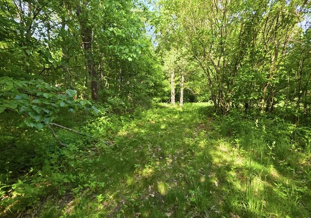 4th image of Lot 13 S Egyptian Trail, Monee, IL 60449 | MLS# 12671932