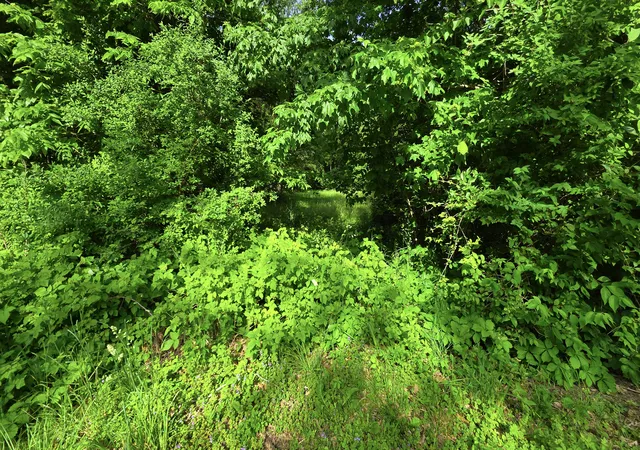 5th image of Lot 13 S Egyptian Trail, Monee, IL 60449 | MLS# 12671932