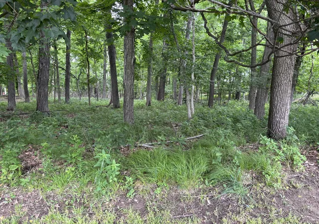 4th image of 1101/1102 Jay Ct, Varna, IL 61375 | MLS# 12672863
