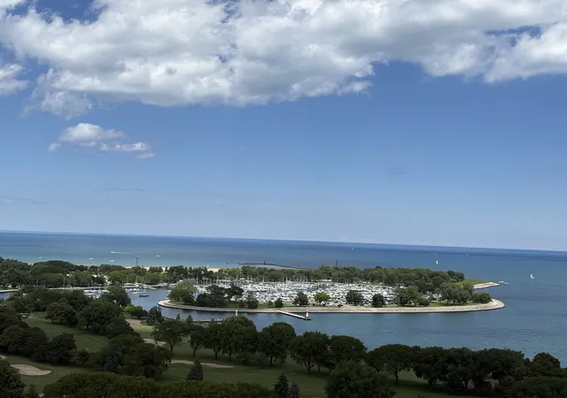 Homes for sale in Chicago, IL | 3950 N Lake Shore Drive, Chicago, IL 60613 | Houzeo