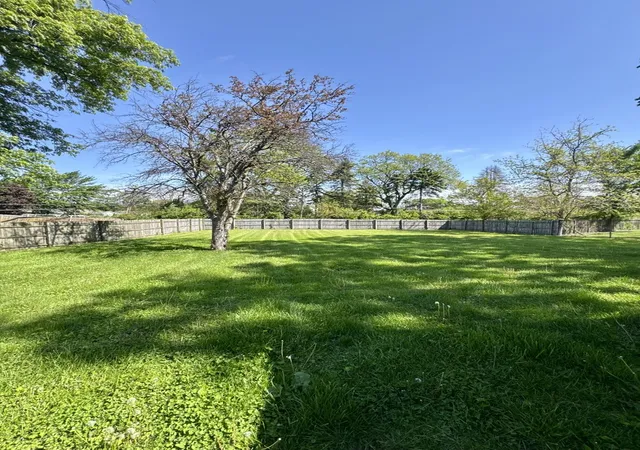 22nd image of 201 W 10th St, Chicago Heights, IL 60411 | MLS# 12674733