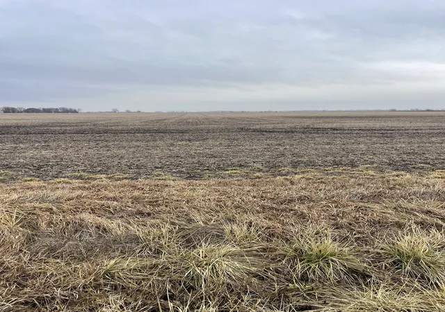 Homes for sale in Wilmington, IL | 0 W Commercial St, Wilmington, IL 60481 | MLS# 12678010