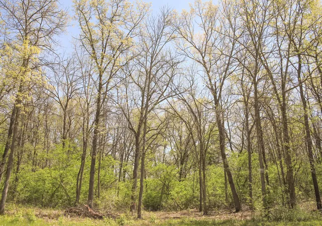 Homes for sale in Marengo, IL | 806 Echo (lot 22) Trl, Marengo, IL 60152 | MLS# 12678809