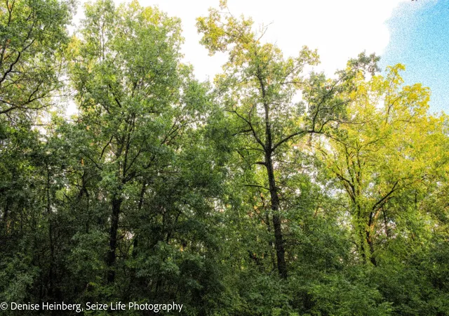 Homes for sale in Marengo, IL | 806 Echo (Lot 22) Trl, Marengo, IL 60152 | MLS# 12678809