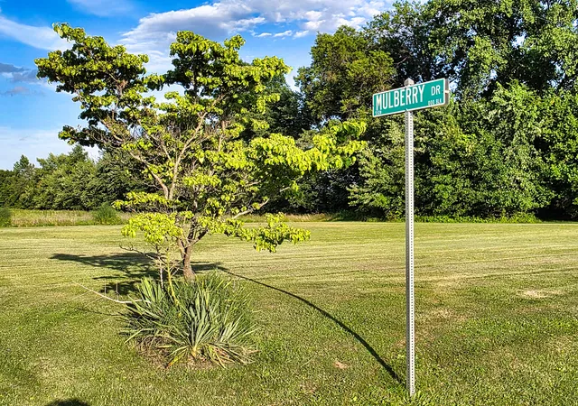 2nd image of 00 Mulberry Dr, Flora, IL 62839 | MLS# 12680063