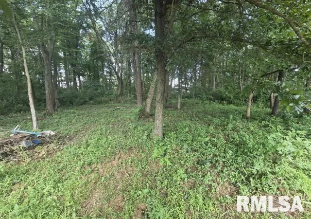Homes for sale in Bluford, IL | 0000 E North Ave, Bluford, IL 62814 | MLS# 12680075