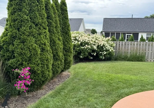 4th image of 318 Piazza Ln, Chatham, IL 62629 | MLS# 12680918