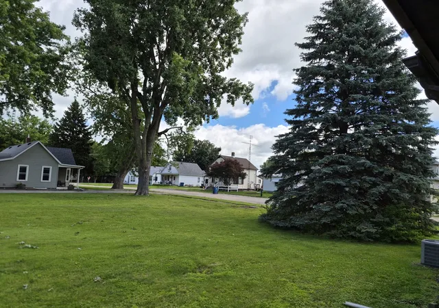 32nd image of 304 N Central Ave, Ladd, IL 61329 | MLS# 12682814