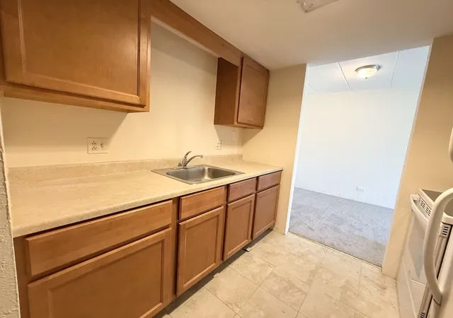 Homes for sale in Palatine, IL | 1 Renaissance Pl #505, Palatine, IL 60067 | MLS# 12683002