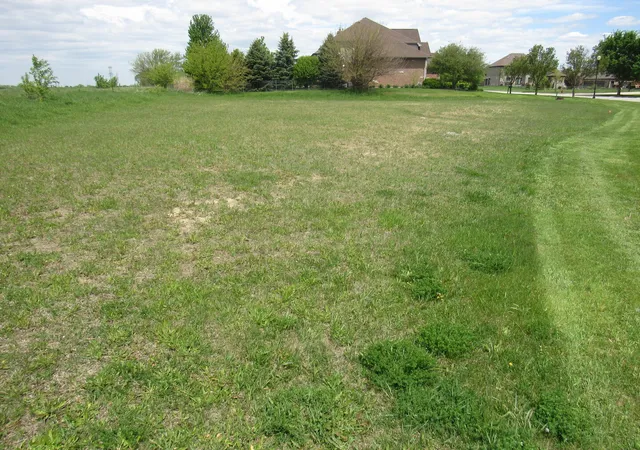 17th image of 22276 Elise Blvd, Frankfort, IL 60423 | MLS# 12683328