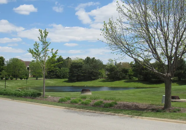 3rd image of 22276 Elise Blvd, Frankfort, IL 60423 | MLS# 12683328