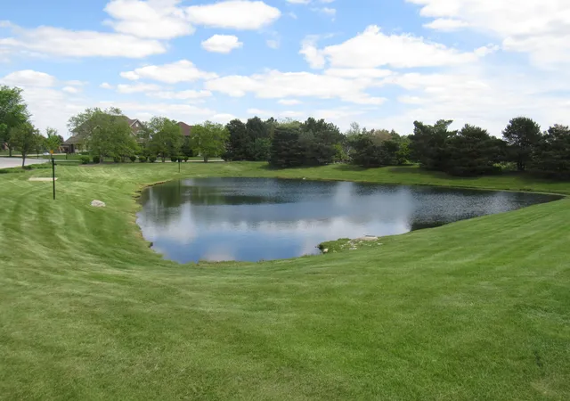 4th image of 22276 Elise Blvd, Frankfort, IL 60423 | MLS# 12683328