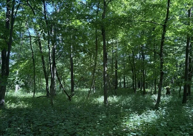 Photo 1 of Land for sale at 15 Navajo Ct, Putnam, IL 61560 | MLS# 12683333 | Listing updated on 2026-06-25