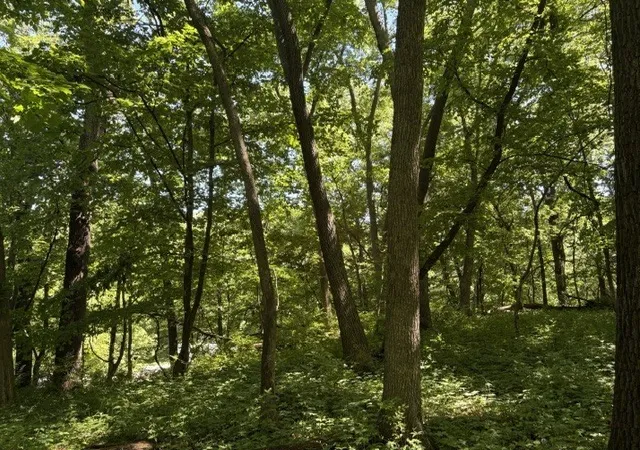 Photo 2 of Land for sale at 15 Navajo Ct, Putnam, IL 61560 | MLS# 12683333 | Listing updated on 2026-06-25