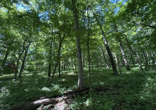 Photo 2 of Land for sale at 15 Navajo Ct, Putnam, IL 61560 | MLS# 12683333 | Listing updated on 2026-06-25