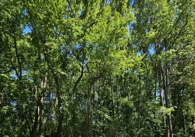 Photo 3 of Land for sale at 15 Navajo Ct, Putnam, IL 61560 | MLS# 12683333 | Listing updated on 2026-06-25