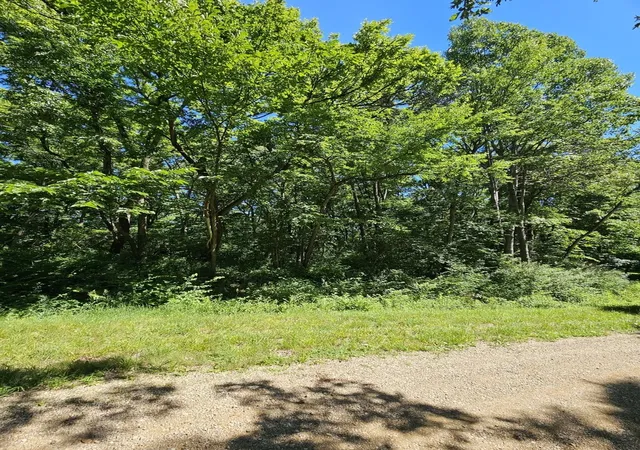Photo 5 of Land for sale at 15 Navajo Ct, Putnam, IL 61560 | MLS# 12683333 | Listing updated on 2026-06-25