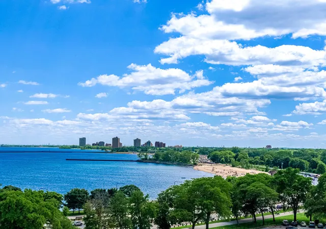 Homes for sale in Chicago, IL | 1755 E 55th St #901, Chicago, IL 60615 | MLS# 12683472