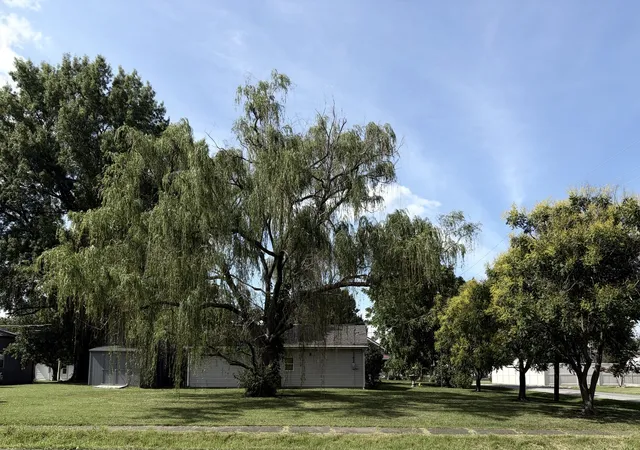 4th image of 502 W Cherry Ave, Christopher, IL 62822 | MLS# 12683568