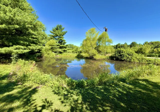 Photo 4 of Sale Pending at 9857 Highway 45, Flora, IL 62839 | MLS# 12685197 | Listing updated on 2026-10-08