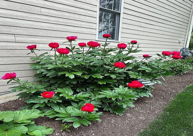 7th image of 823 Columbia Cir, North Aurora, IL 60542 | MLS# 12685325