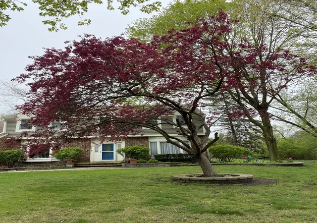 Homes for sale in Long Grove, IL | 5544 Oak Grove Dr, Long Grove, IL 60047 | MLS# 12685559