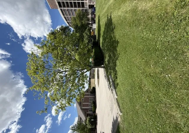 Homes for sale in Joliet, IL | 00 Uno Cir, Joliet, IL 60435 | MLS# 12685993