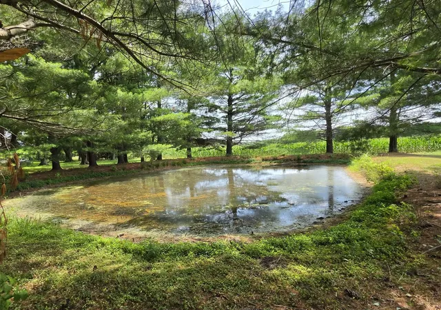 4th image of 11164 State Route 14, Mcleansboro, IL 62859 | MLS# 12687444