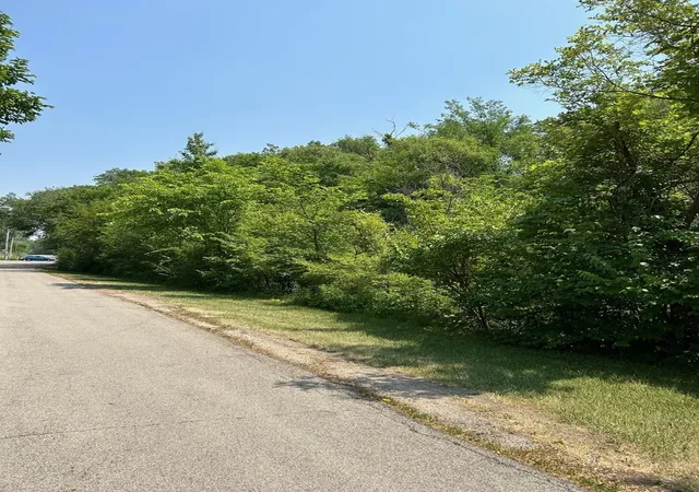 5th image of Lot Foster Ave, Roselle, IL 60172 | MLS# 12687676