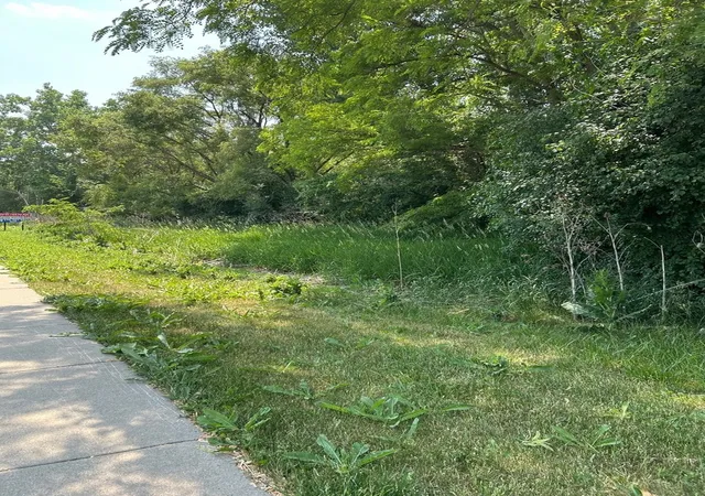 8th image of Lot Foster Ave, Roselle, IL 60172 | MLS# 12687676