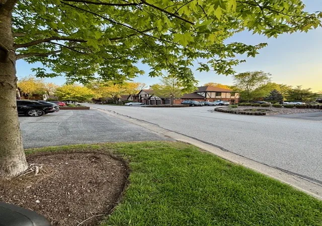 Homes for sale in Palos Hills, IL | 11151 Cottonwood Dr #19C, Palos Hills, IL 60465 | MLS# 12687725