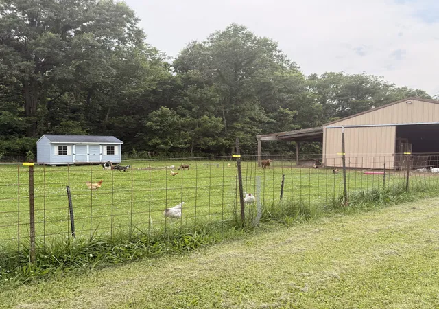 16th image of 2305 N 1025 St, Ramsey, IL 62080 | MLS# 12687769