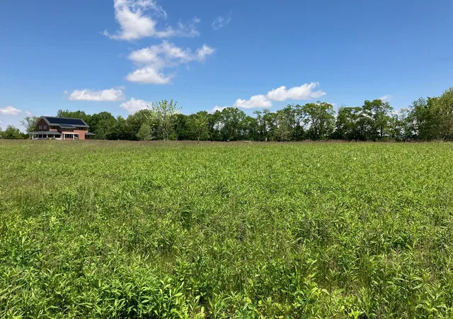 Homes for sale in Urbana, IL | 2807 N Brickhouses Rd, Urbana, IL 61802 | MLS# 12687800