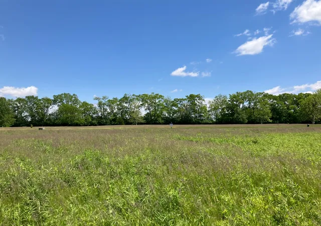 Homes for sale in Urbana, IL | 2807 N Brickhouses Rd, Urbana, IL 61802 | MLS# 12687800