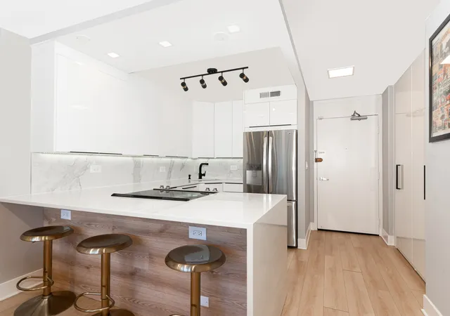 Homes for sale in Chicago, IL | 88 W Schiller St #303L, Chicago, IL 60610 | MLS# 12687832