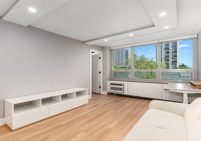 Homes for sale in Chicago, IL | 88 W Schiller St #303L, Chicago, IL 60610 | MLS# 12687832