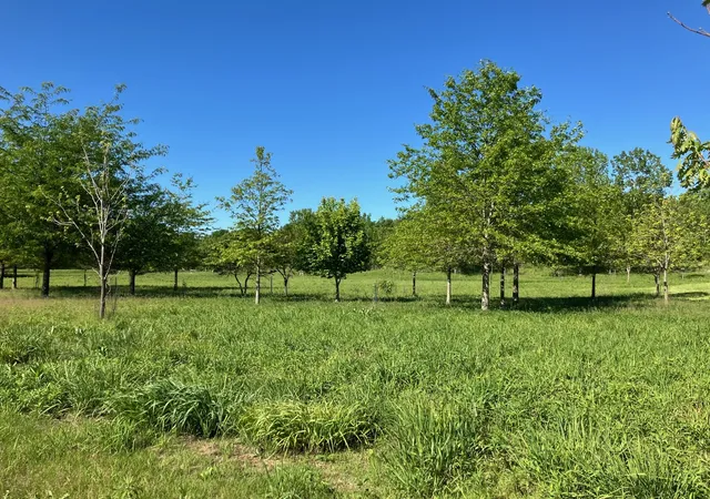 Homes for sale in Urbana, IL | 2909 N Brickhouses Rd, Urbana, IL 61802 | MLS# 12687833